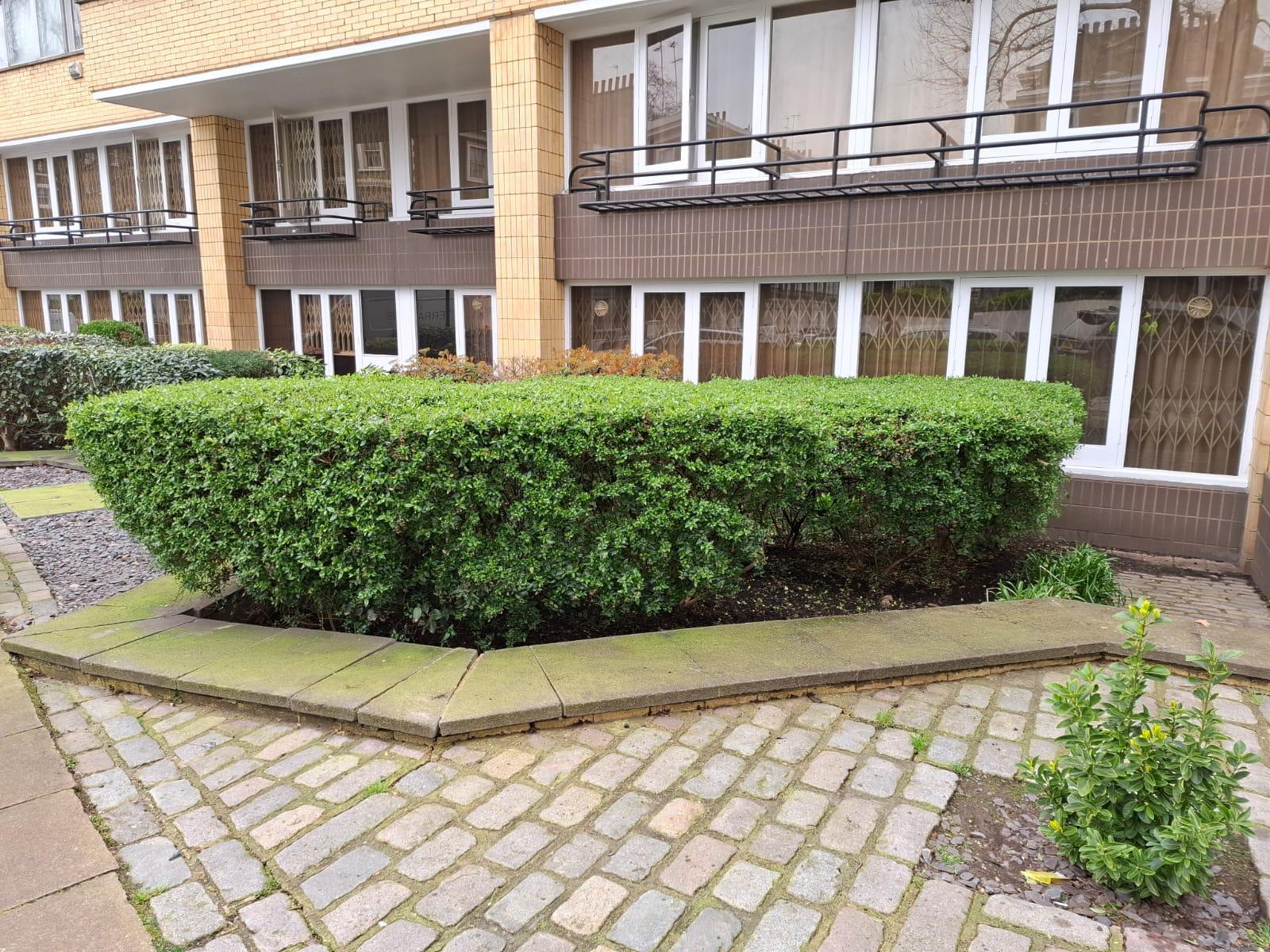 Hedge Trimming & Shrub Maintenance