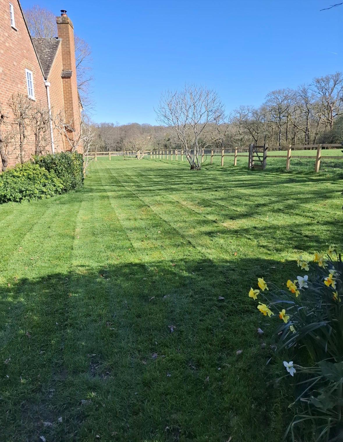 Lawn Mowing & Turf Care