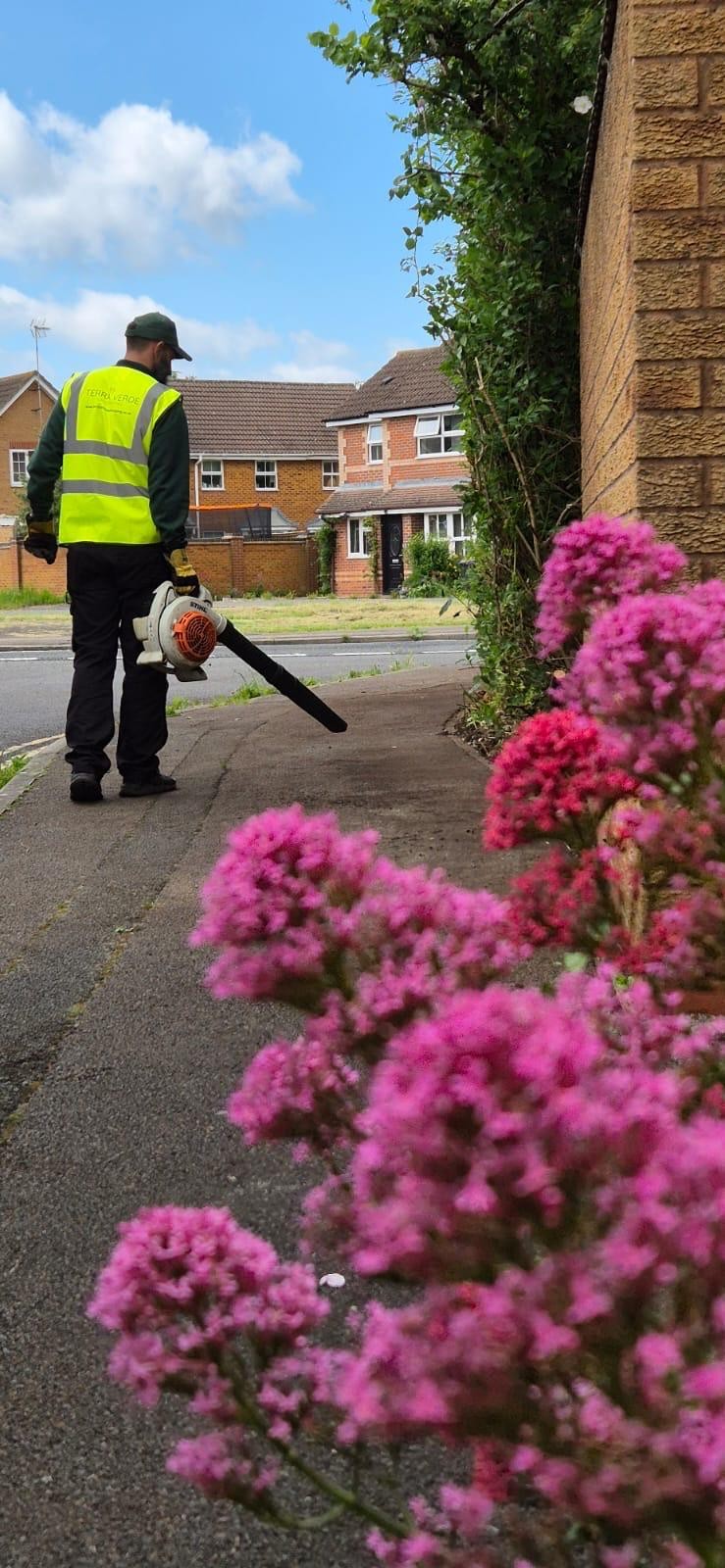 Leaf Clearance & Seasonal Works